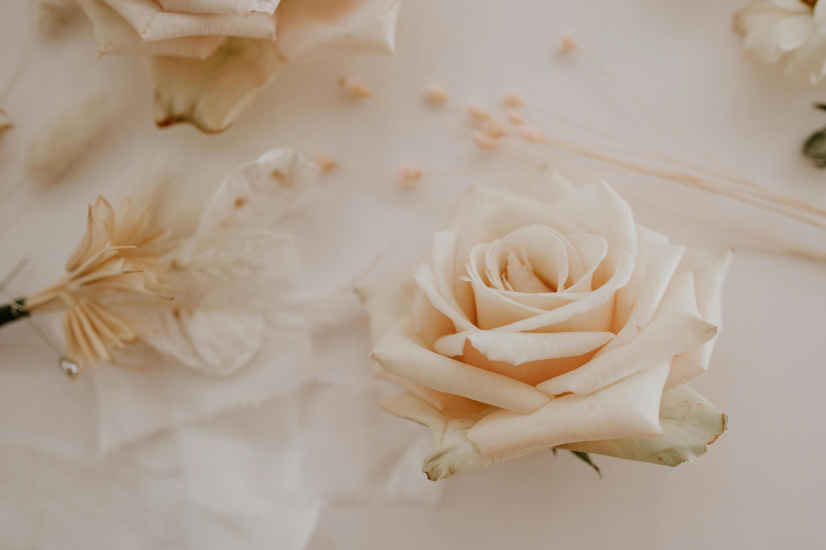 Dekoracje stołów weselnych – od świeżych kwiatów po eleganckie dodatki